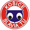 ˹άǿ˼ȸ